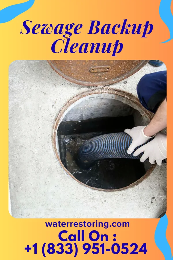 Sewage Backup Cleanup in Morrisville, MO